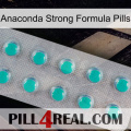 Anaconda Strong Formula Pills 28